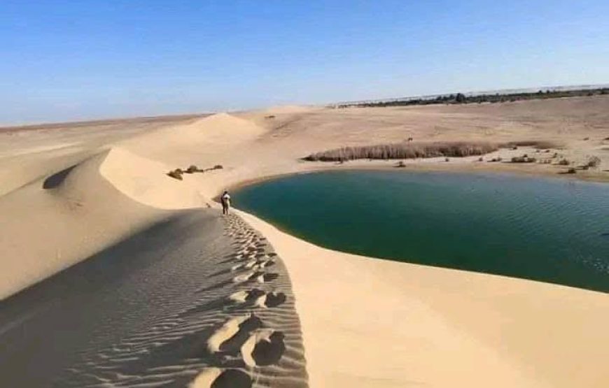 Fayoum Safari