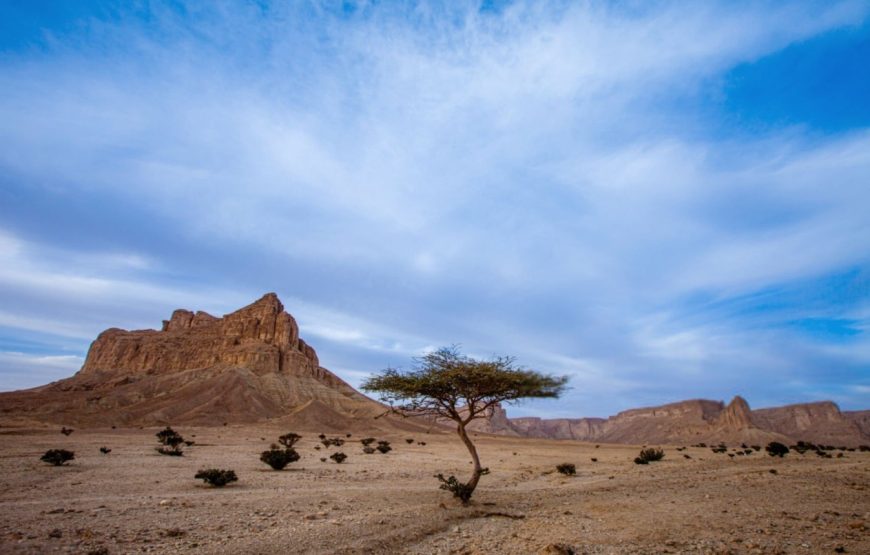 ELdakhla