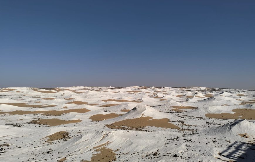 Adventure in the White Desert