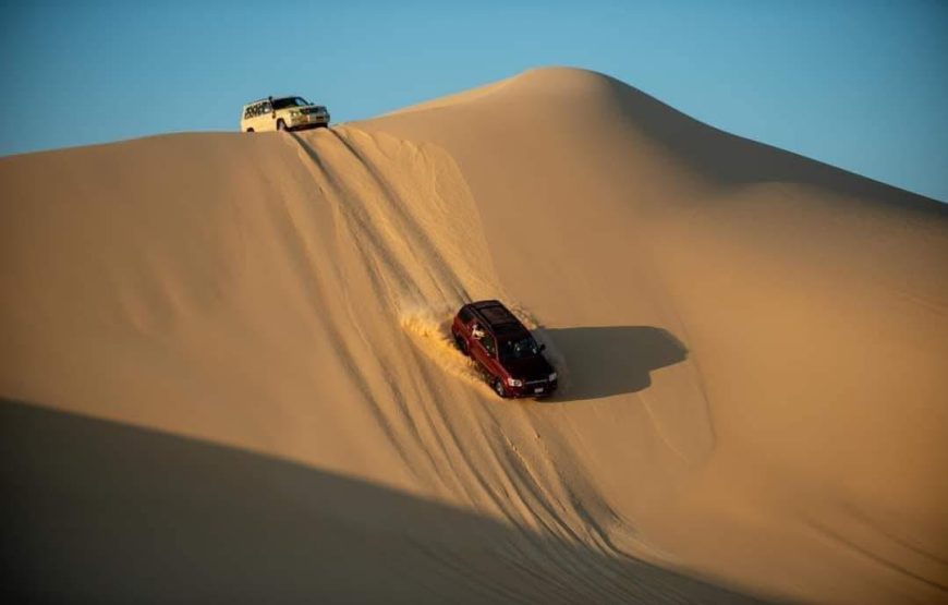 Fayoum Safari