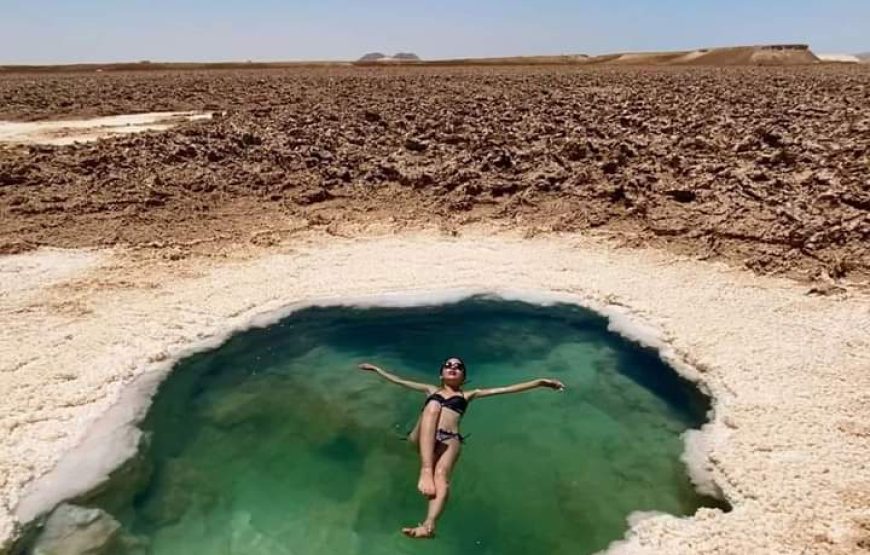 Siwa Oasis Safari